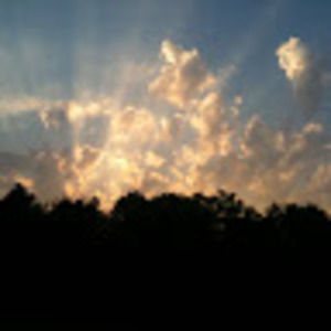 Meet your Posher, Hadley